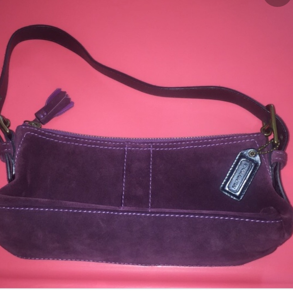 Coach Hamptons Suede Soft Demi Zip Bag E04S-7470